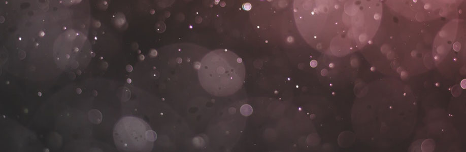 Jara Van Daele Cover Image